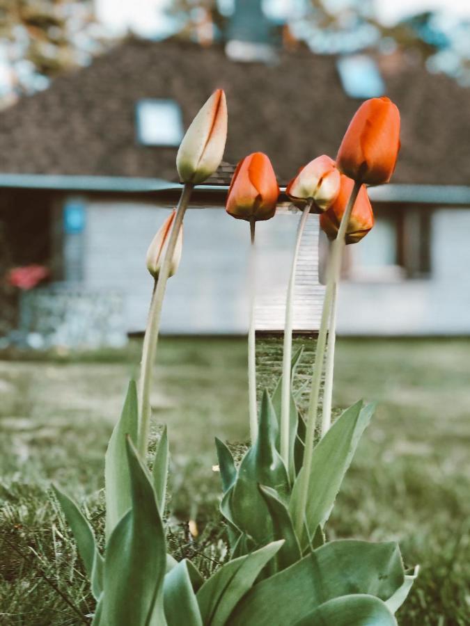 Clockhouse Cottage Saulkrasti Bagian luar foto